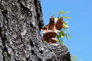 carrick hill 2014 (28)